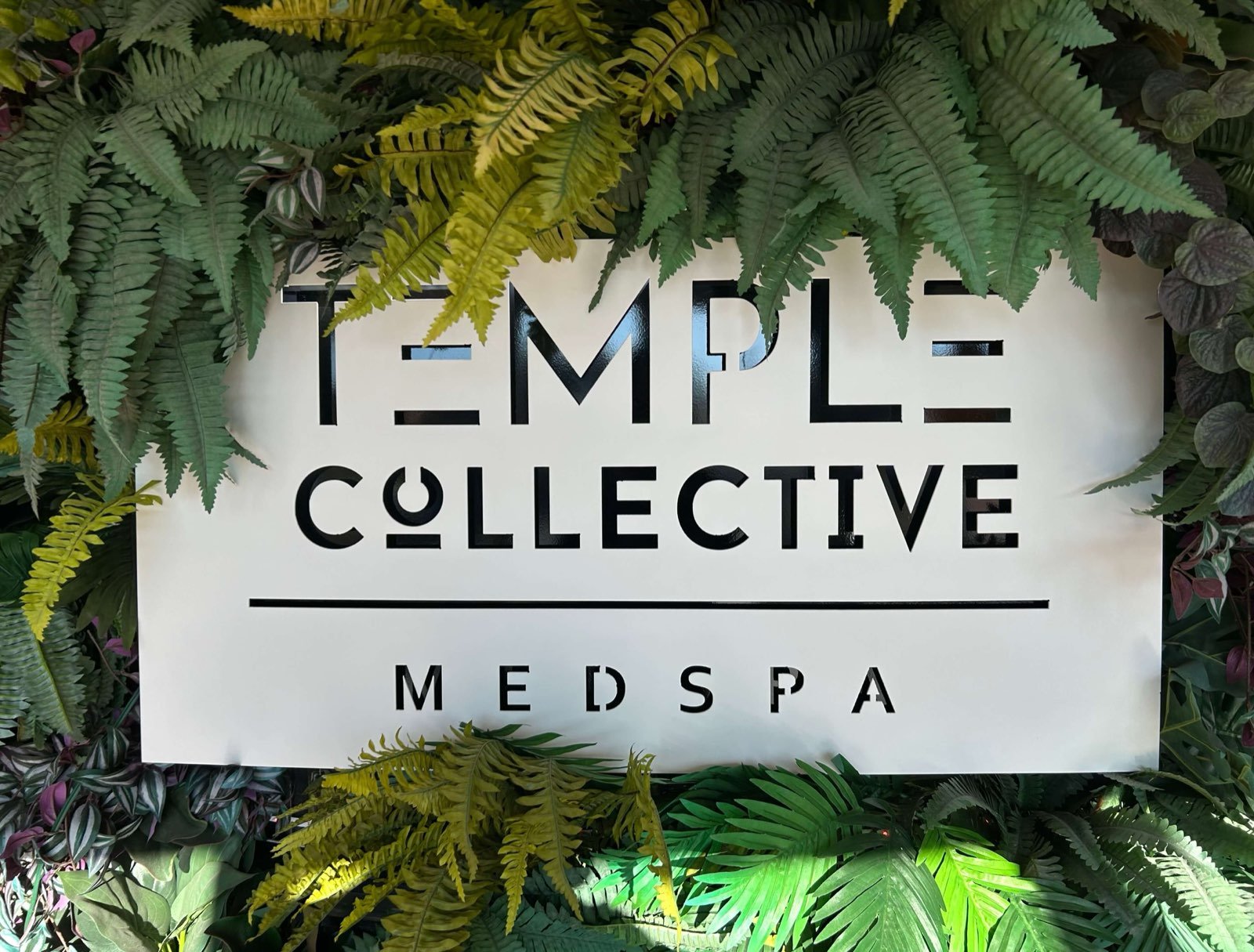 Temple Collective Medspa providers in Springfield, Illinois